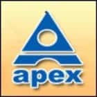 Apex Institute of Technology and Management, Pahala Logo