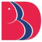 Babu Banarasi Das Engineering College, Lucknow Logo