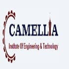 Camellia Institute of Engineering and Technology, Burdwan Logo