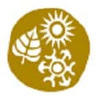 Chanakya University, Bangalore Logo