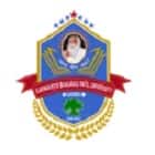 Chhatrapati Shivaji College, Satara Logo