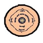Dayanand Arya Kanya Mahavidyalaya, Nagpur Logo