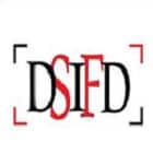 Design Solution Institute of Fashion Design, Mumbai Logo