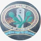 Government College, Sailana Logo