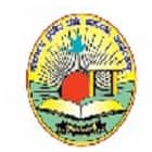 Government First Grade College, Thirthahalli Logo