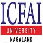 ICFAI University, Nagaland Logo