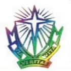 Mar Severios College of Teacher Education, Pathanamthitta Logo