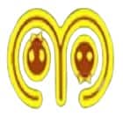 Marigold B Ed College, Jaipur Logo