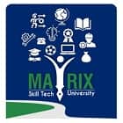 Matrix SkillTech University, Geyzing Logo