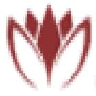 Merchant Physiotherapy College, Mehsana Logo