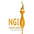 Naraini Group of Institutions, Karnal Logo