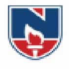 Narayana Engineering College, Nellore Logo