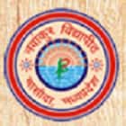 Navankur School of Computer Science, Vidisha Logo