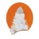 Rishi College of Education, Bairagiguda Logo