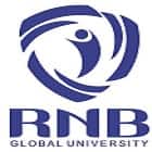 RNB Global University, Bikaner Logo