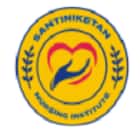 Santiniketan Nursing Institute, Birbhum Logo