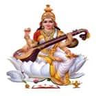 Saraswati College of Education, Sehlang Logo