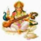 Saraswati Vidya Mandir College of Education, Mewat Logo