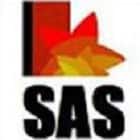 SAS Institute of Management Studies, Thane Logo