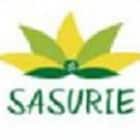 Sasurie Academy of Engineering, Coimbatore Logo