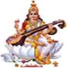 Shri Durga Shiksha Niketan PG College, Lucknow Logo