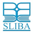 Som Lalit Institute of Business Administration, Ahmedabad Logo