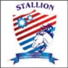 Stallion College For Engineering and Technology, Saharanpur Logo