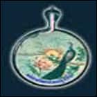 Vidya Bhawan Polytechnic College, Udaipur Logo