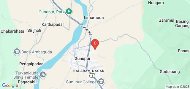 Gayatri Institute of Computer and Management Studies, Rayagada Map