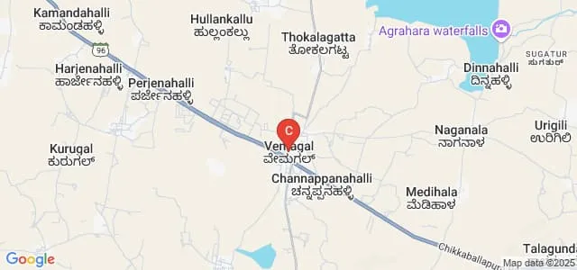 Government First Grade College, Vemagal Map