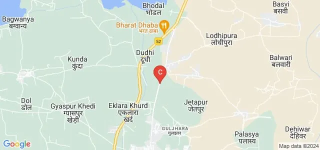 Maa Narmada College, Dhamnod Map