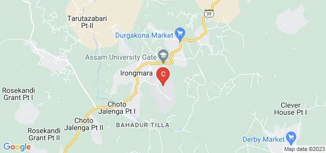 Albert Einstein School of Physical Sciences, Silchar Map