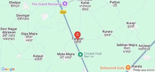 Shaheed Udham Singh Engineering College, Mohali Map