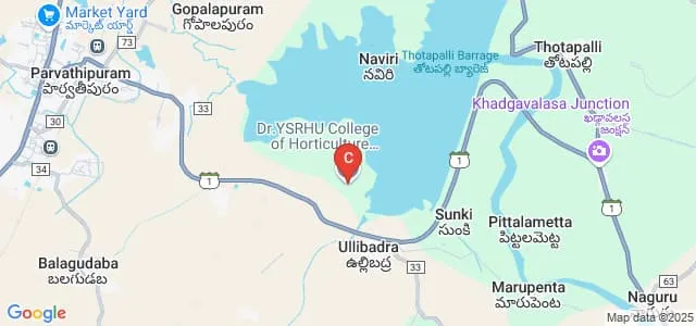 College of Horticulture, Parvathipuram, Vizianagaram Map