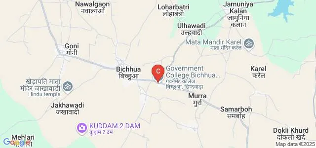 Government Degree College, Bichhua Map