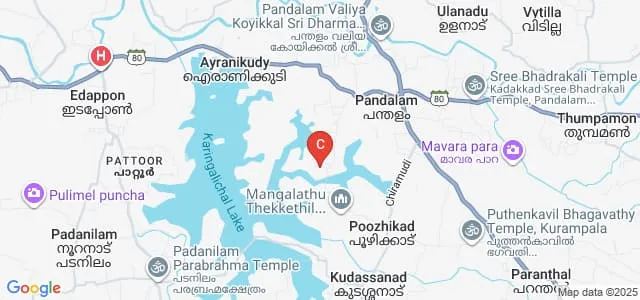 Mannam Ayurveda Co-Operative Medical College, Pandalam Map