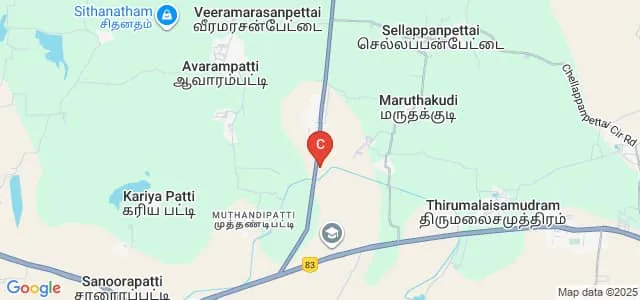 Ramya Sathianathan Polytechnic College, Pudupatti Map