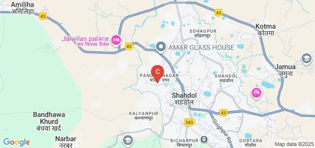 Government Polytechnic College, Shahdol Map