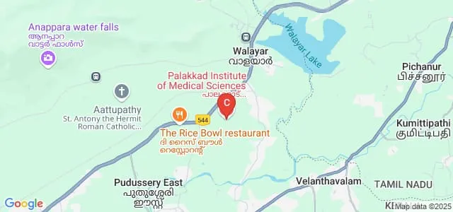 Palakkad Institute of Medical Sciences, Walayar Map