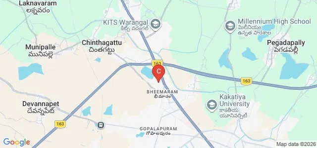 SVS Institute of Pharmacy, Hasanparthy Map