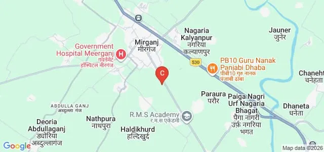 Swami Dayanand PG Degree College, Meerganj Map