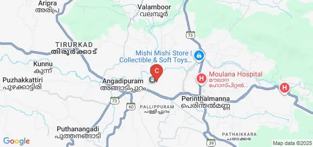 Moulana College of Nursing, Malappuram Map