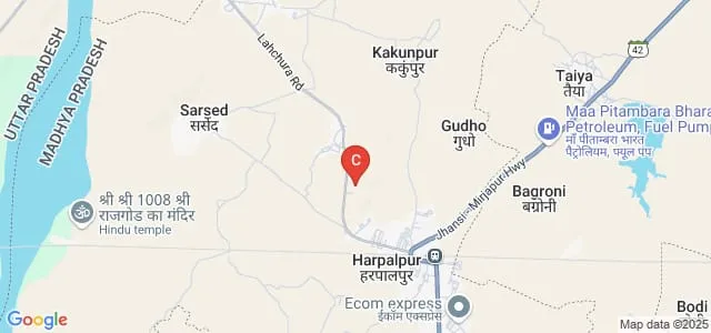 Raja Harpalsingh Government College, Harpalpur Map
