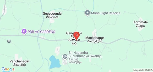 Bharathi Institute of Business Management, Warangal Map