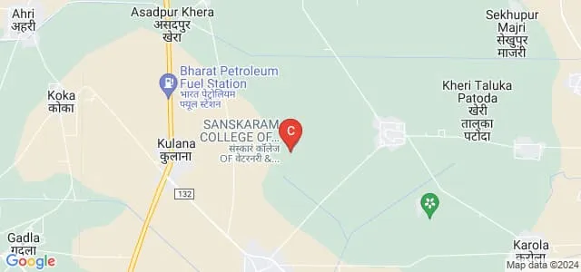 Sanskaram College of Veterinary and Animal Science, Jhajjar Map