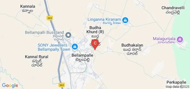 Government Degree College, Budhal Map