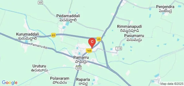 Smt Tamma Kotamma Reddy Polytechnic, Krishna Map