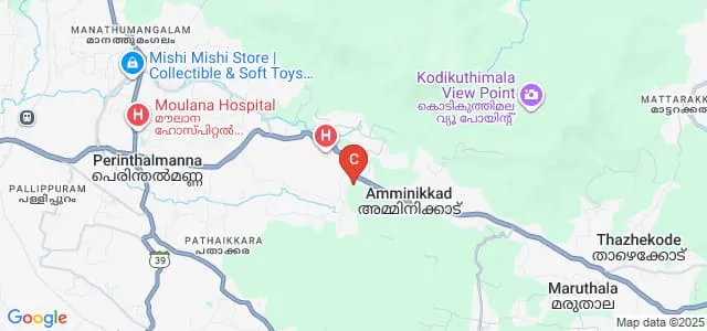 EMS College of Paramedical Sciences, Perinthalmanna Map