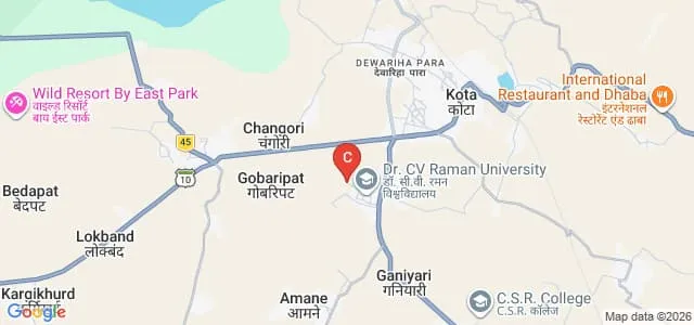 Dr CV Raman Institute of Pharmacy, Bilaspur Map