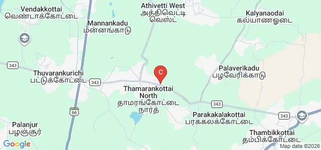 Sri Kumaran B Ed College, Thamarankottai Map